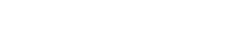 Bitlabs-Logo